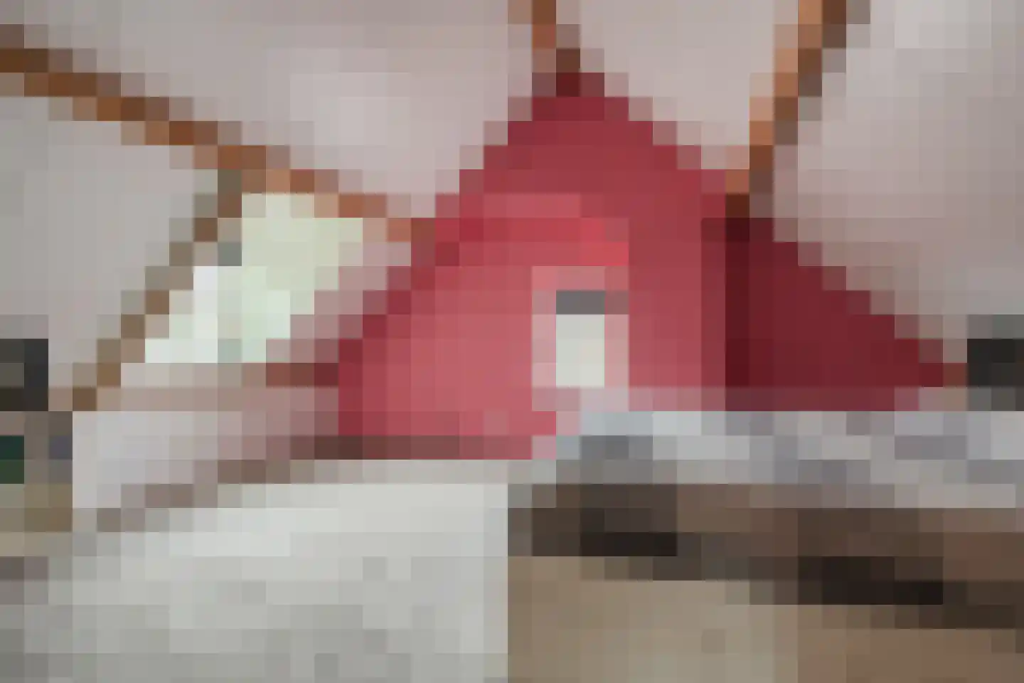 Pastoor van Winkelstraat 63 Schaijk thumbnail 55
