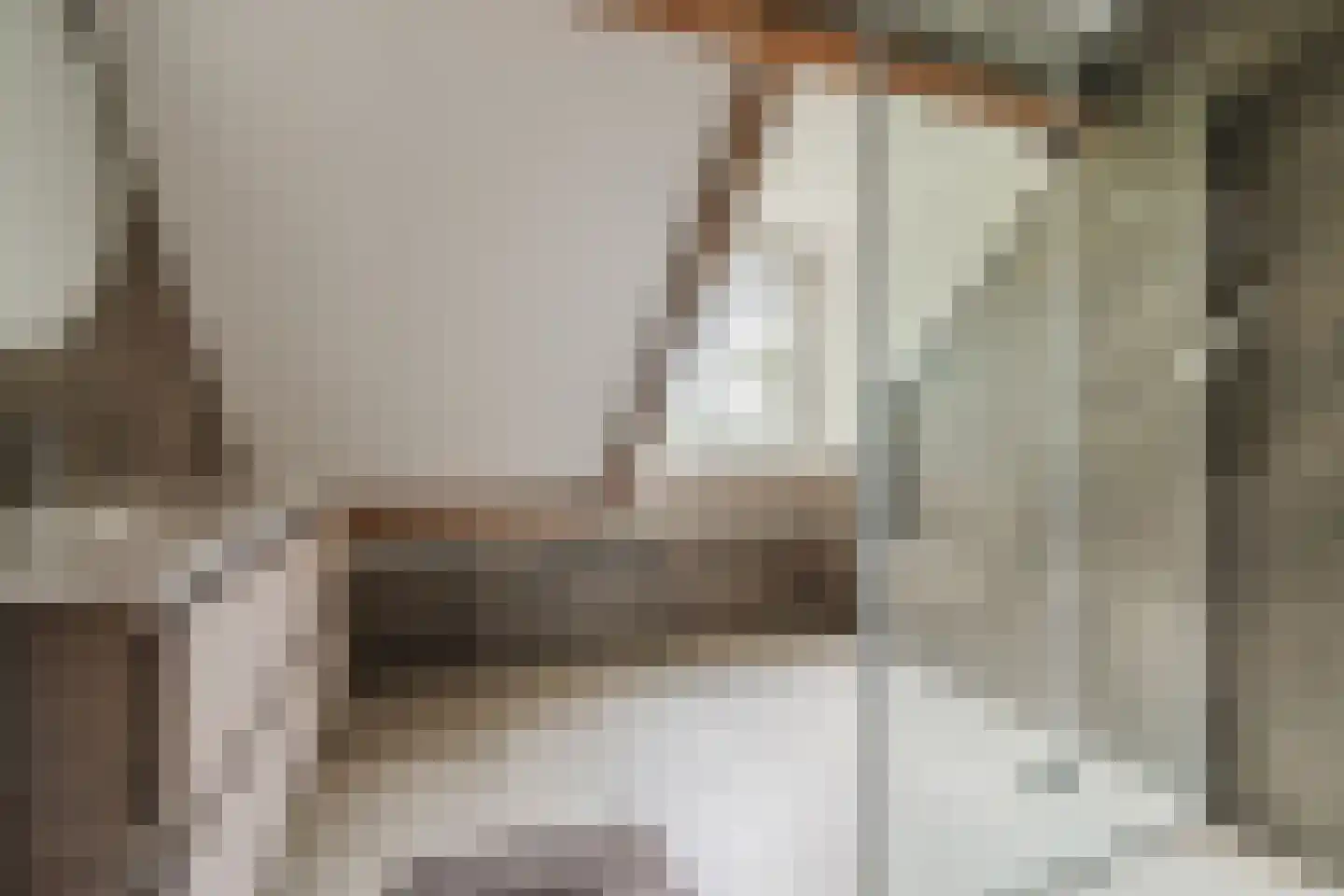 Pastoor van Winkelstraat 63 Schaijk thumbnail 59