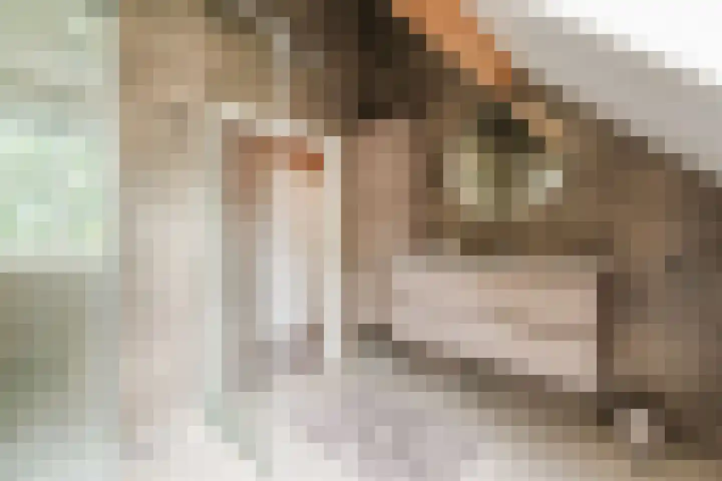 Pastoor van Winkelstraat 63 Schaijk thumbnail 61