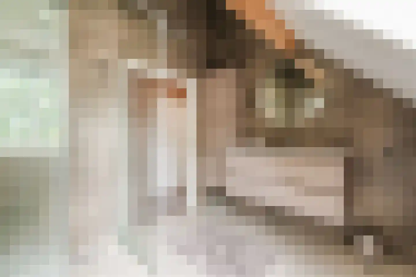 Pastoor van Winkelstraat 63 Schaijk thumbnail 61