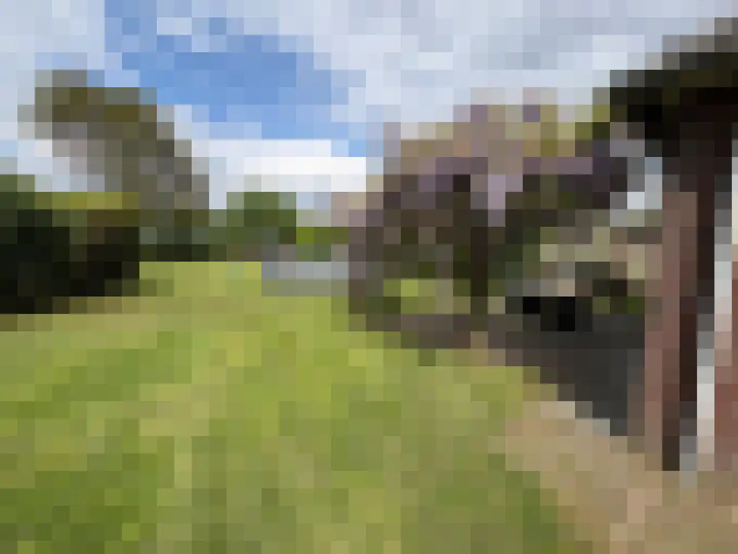 Pastoor van Winkelstraat 63 Schaijk thumbnail 66