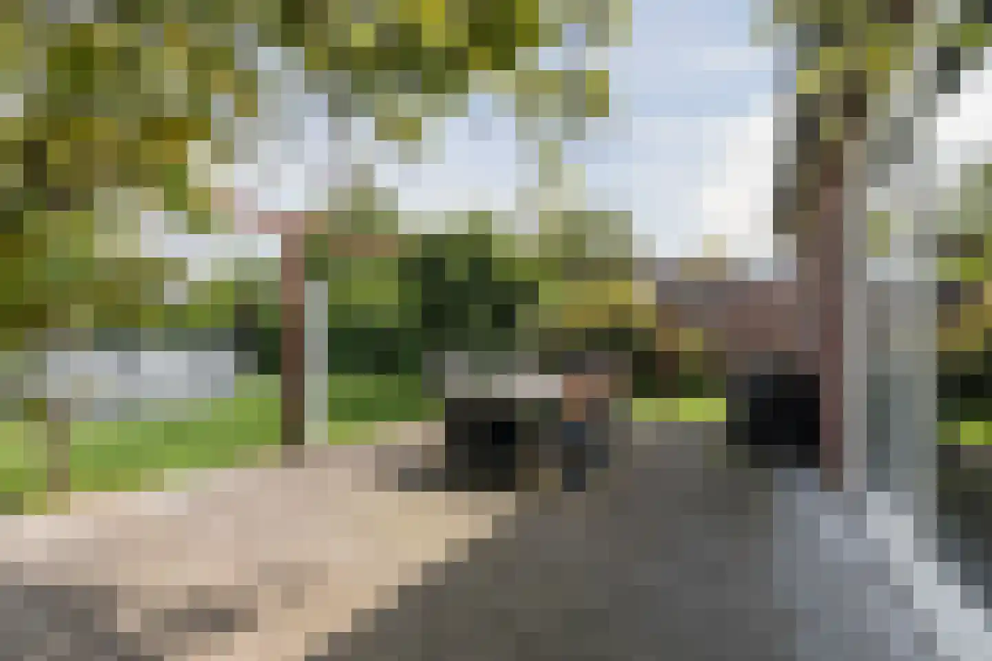 Pastoor van Winkelstraat 63 Schaijk thumbnail 67