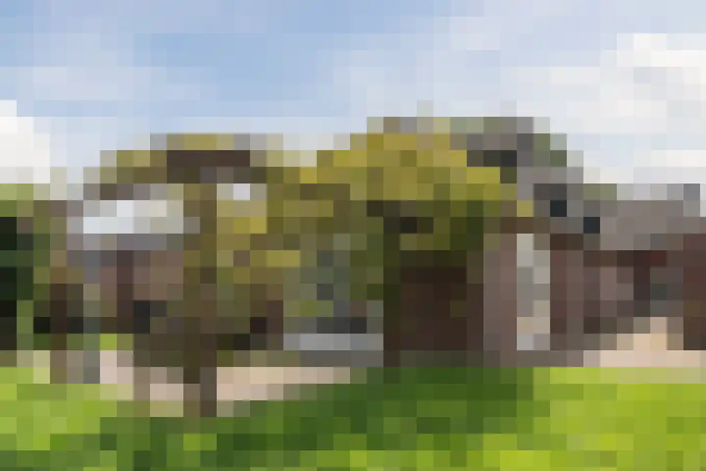 Pastoor van Winkelstraat 63 Schaijk thumbnail 69