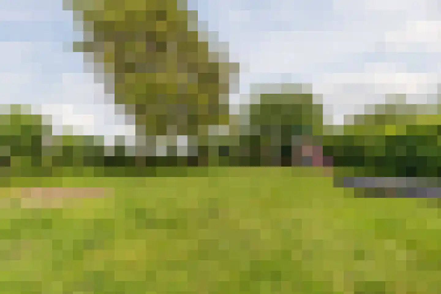 Pastoor van Winkelstraat 63 Schaijk thumbnail 71