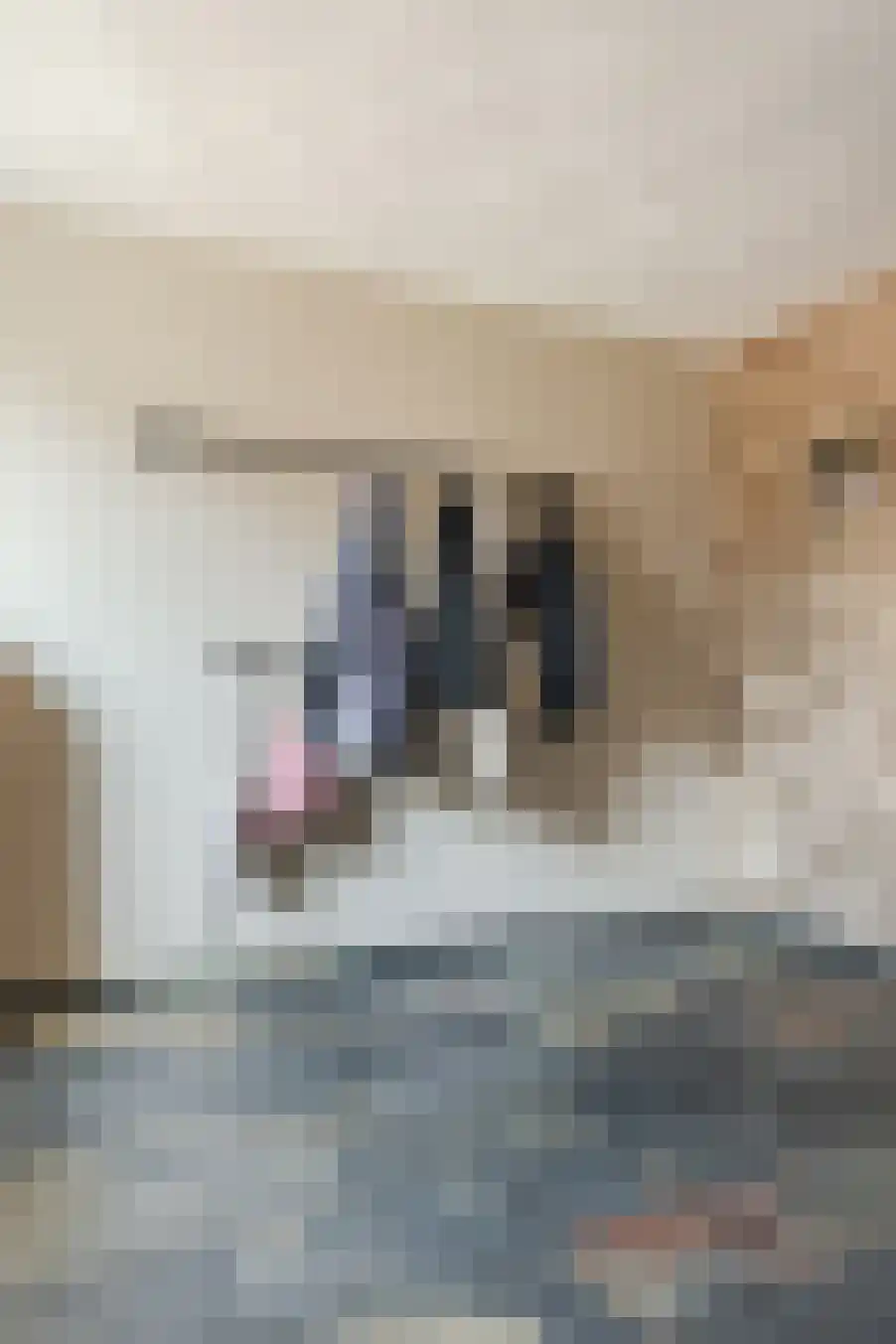 Pastoor van Winkelstraat 63 Schaijk thumbnail 8