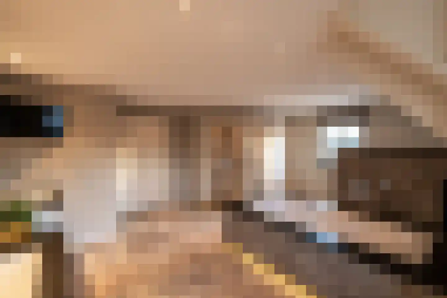Pastoor van Winkelstraat 81 Schaijk thumbnail 10