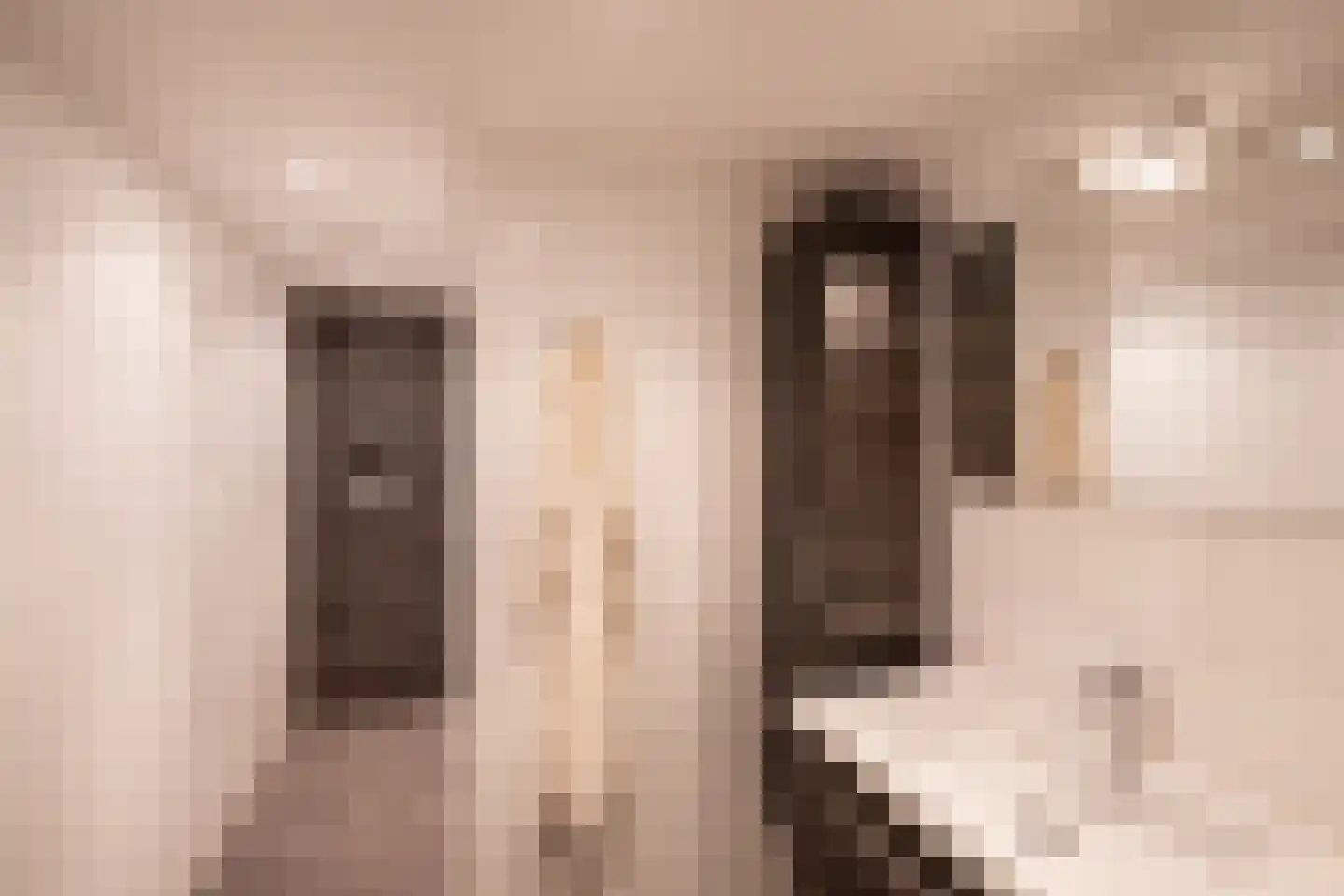 Pastoor van Winkelstraat 81 Schaijk thumbnail 12