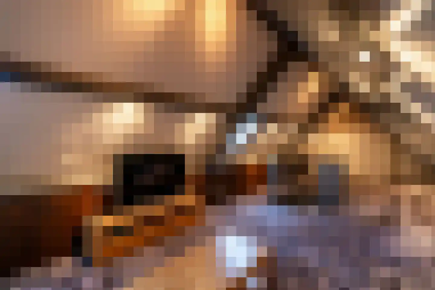 Pastoor van Winkelstraat 81 Schaijk thumbnail 13