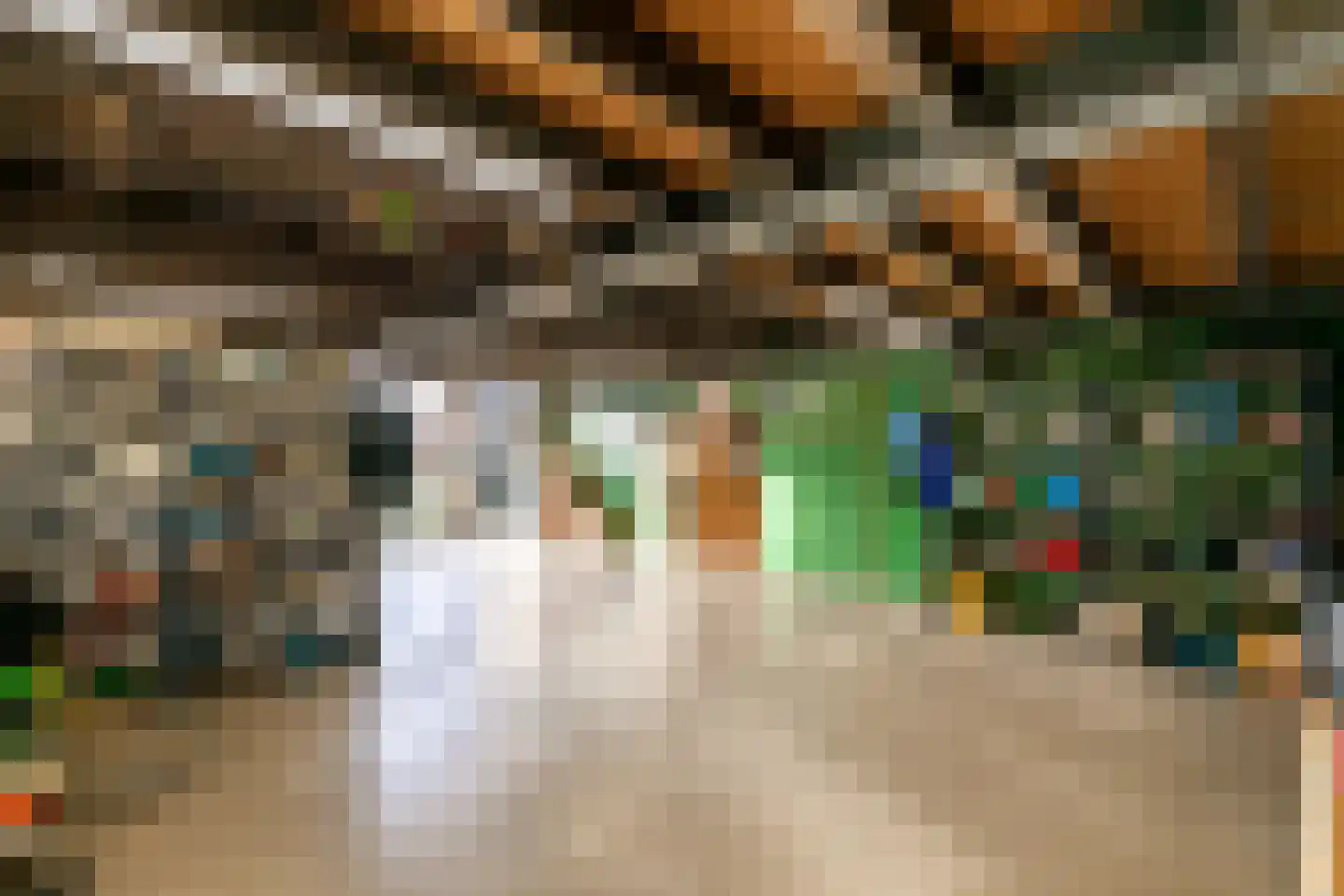 Pastoor van Winkelstraat 81 Schaijk thumbnail 22