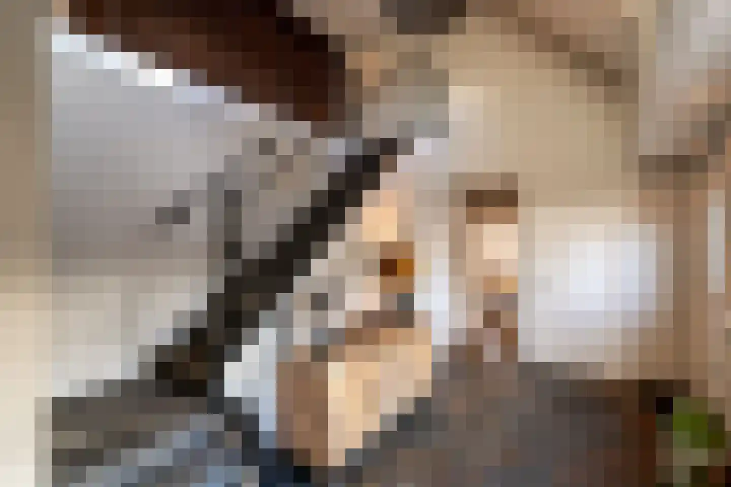 Pastoor van Winkelstraat 81 Schaijk thumbnail 4