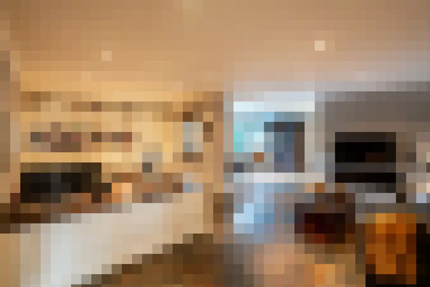 Pastoor van Winkelstraat 81 Schaijk thumbnail 7