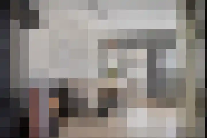 Pastoor Velzeboerstraat 10 't Zand thumbnail 12