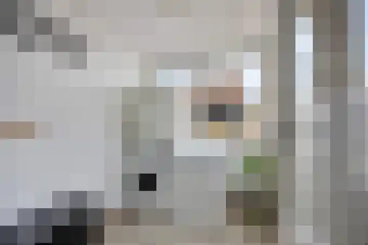 Pastoor Velzeboerstraat 10 't Zand thumbnail 14