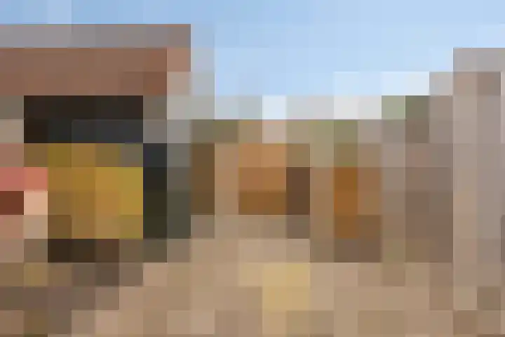 Pastoor Velzeboerstraat 10 't Zand thumbnail 31