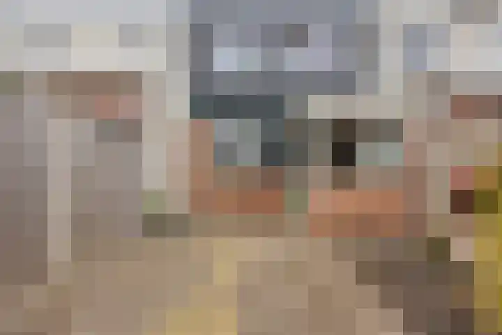 Pastoor Velzeboerstraat 10 't Zand thumbnail 32
