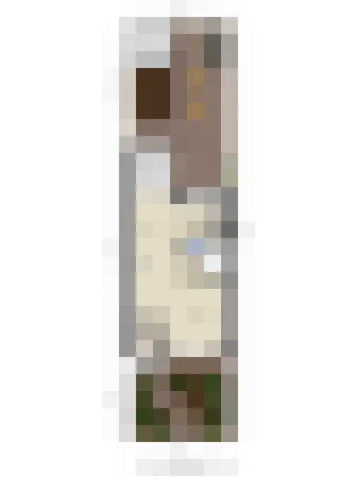 Pastoor Velzeboerstraat 10 't Zand thumbnail 34