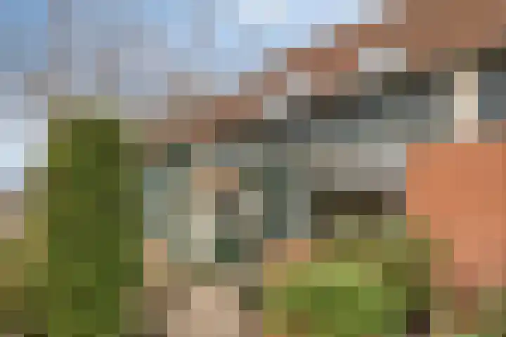 Pastoor Velzeboerstraat 10 't Zand thumbnail 5