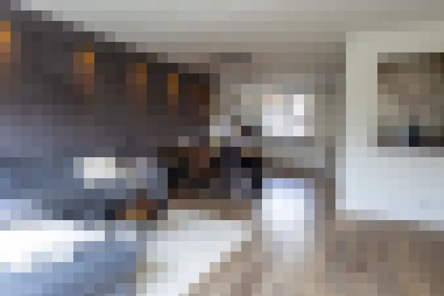 Pastoor Velzeboerstraat 20 't Zand thumbnail 11