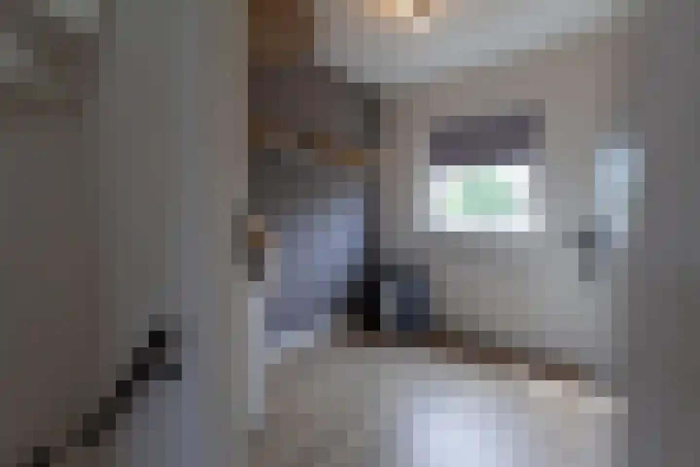 Pastoor Velzeboerstraat 20 't Zand thumbnail 15