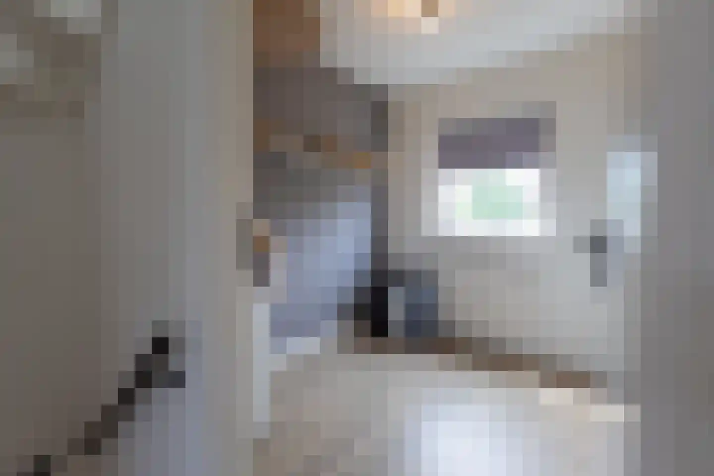Pastoor Velzeboerstraat 20 't Zand thumbnail 16