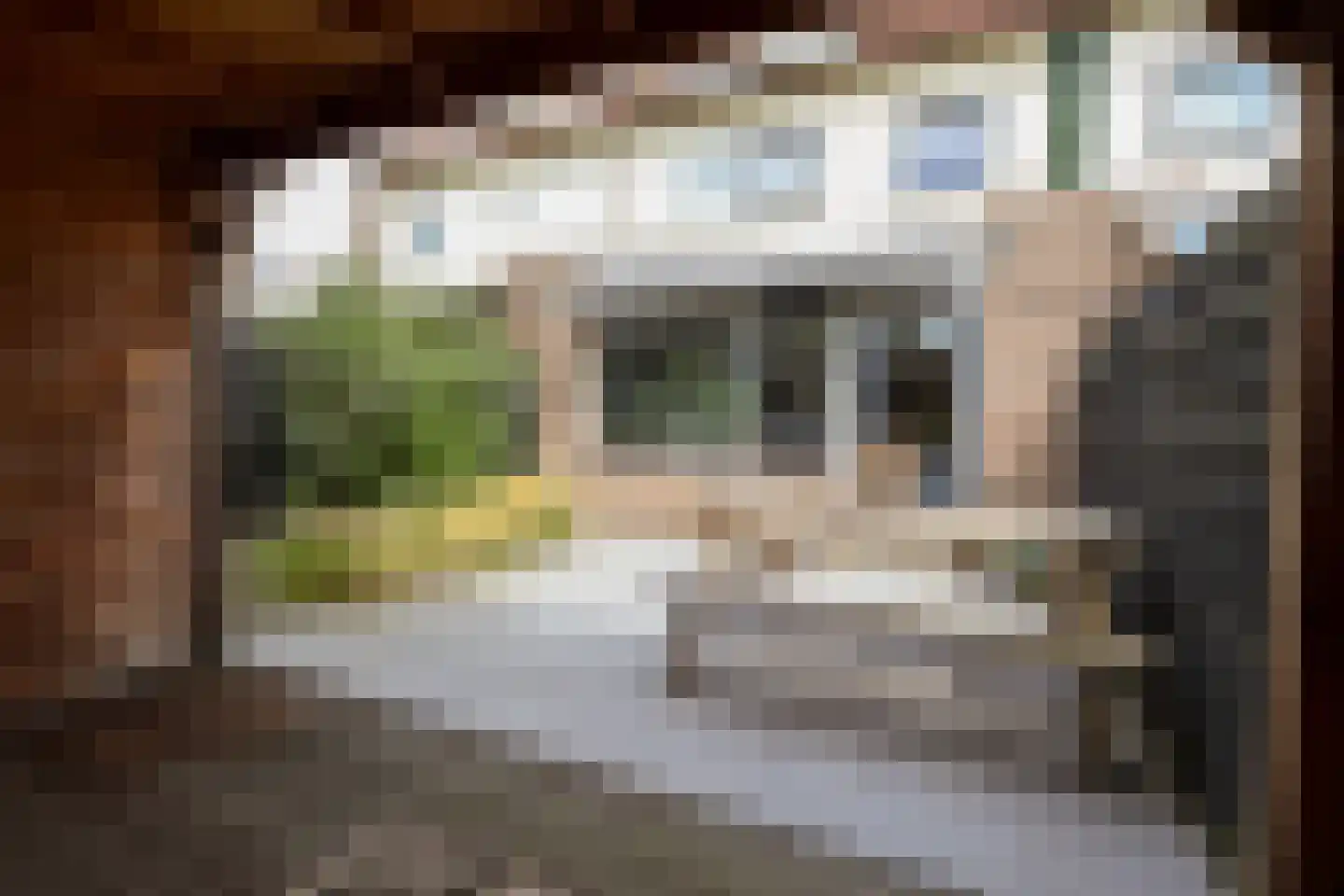 Pastoor Velzeboerstraat 20 't Zand thumbnail 25