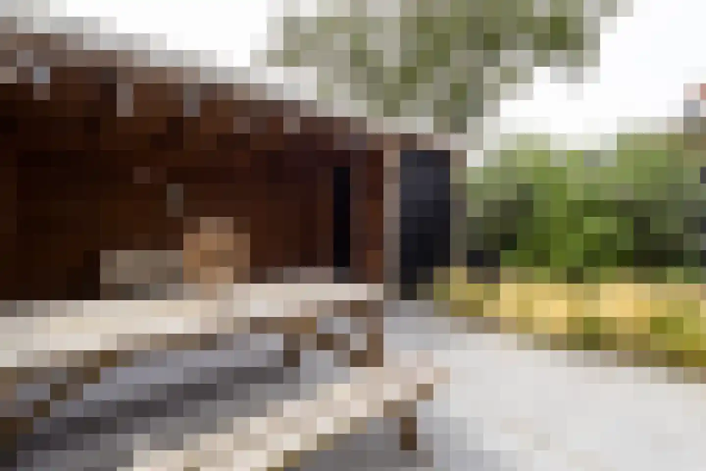 Pastoor Velzeboerstraat 20 't Zand thumbnail 27