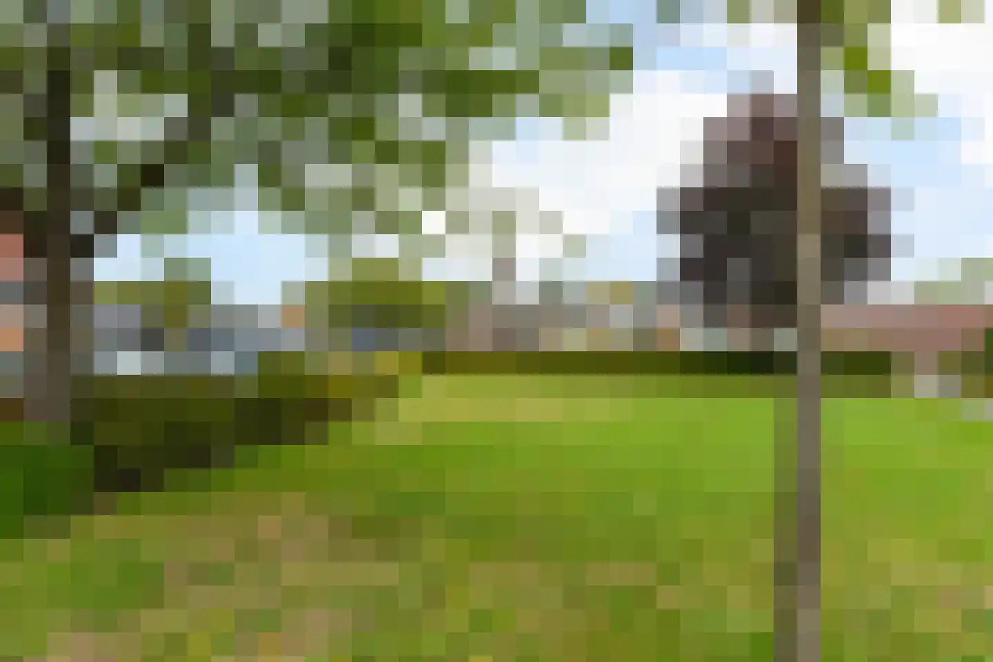 Pastoor Velzeboerstraat 20 't Zand thumbnail 35