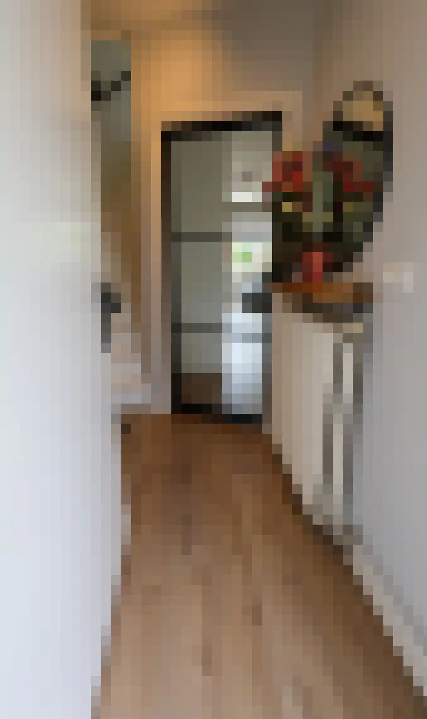 Pastoor Velzeboerstraat 20 't Zand thumbnail 6