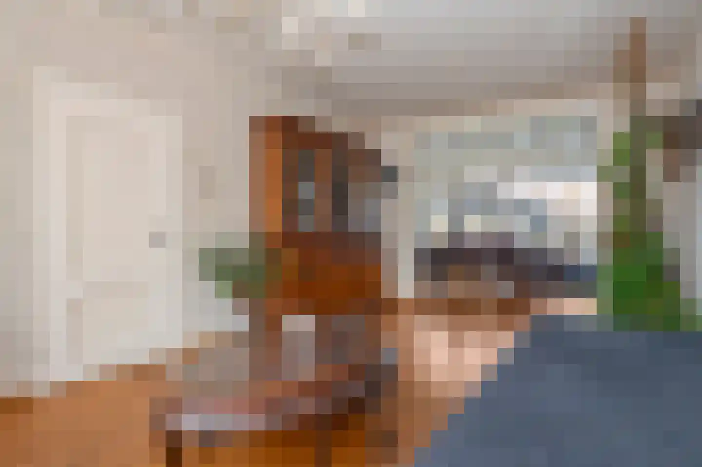 Pastoor Verbeekstraat 16 Sittard thumbnail 7
