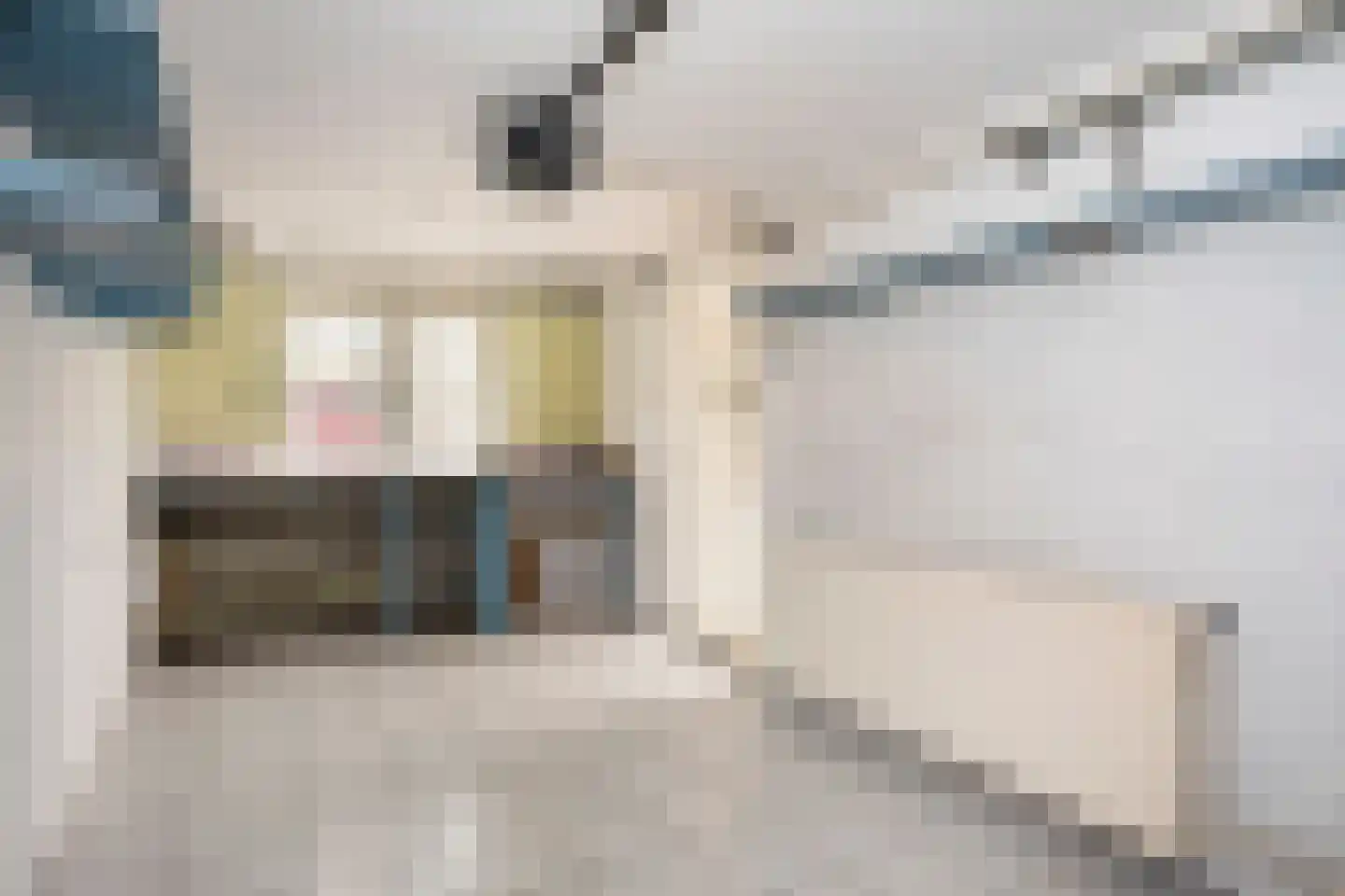 Pastoor Verbeekstraat 17 Sittard thumbnail 15
