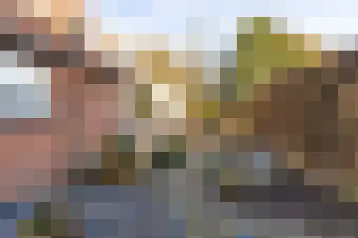 Pastoor Verbuntstraat 20 Rijsbergen thumbnail 28