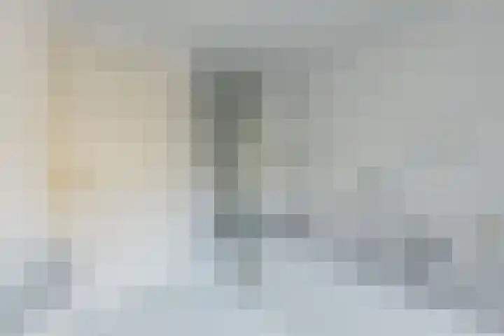 Pastoor Verbuntstraat 20 Rijsbergen thumbnail 4