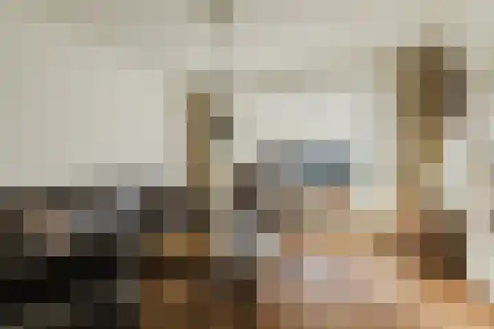 Pastoor Verbuntstraat 20 Rijsbergen thumbnail 8
