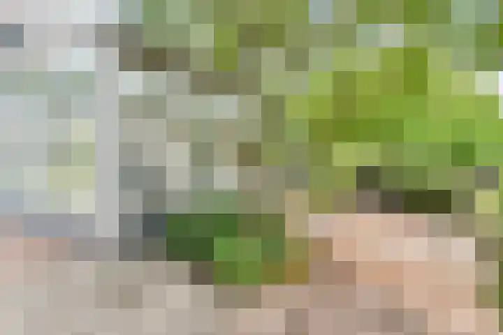 Pastoor Verburchweg 2 Rijswijk thumbnail 13
