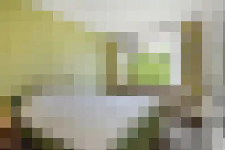 Pastoor Verburchweg 2 Rijswijk thumbnail 26