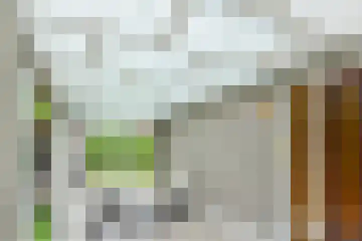 Pastoor Verburchweg 2 Rijswijk thumbnail 42