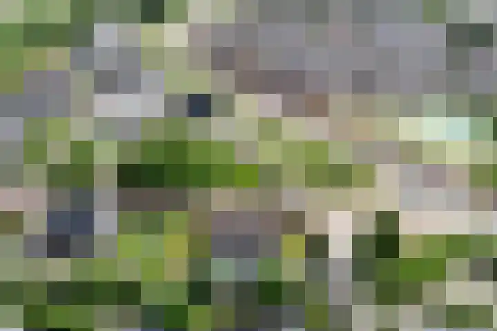 Pastoor Verburchweg 2 Rijswijk thumbnail 48
