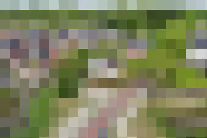 Pastoor Verburchweg 2 Rijswijk thumbnail 50