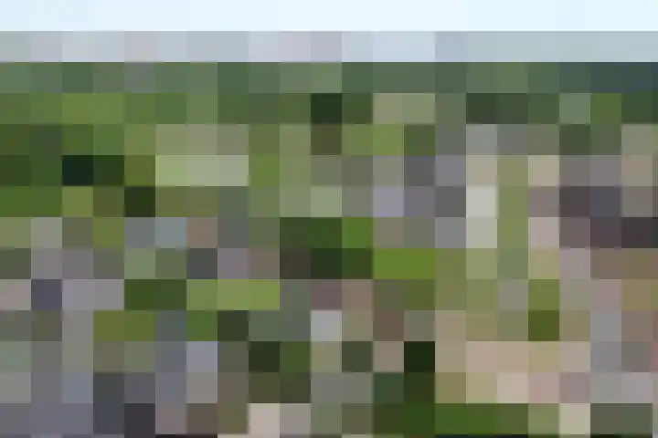 Pastoor Verburchweg 2 Rijswijk thumbnail 51