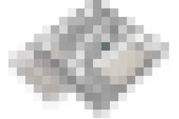 Pastoor Verburchweg 2 Rijswijk thumbnail 57