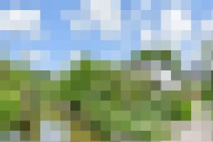 Pastoor Verburchweg 2 Rijswijk thumbnail 7