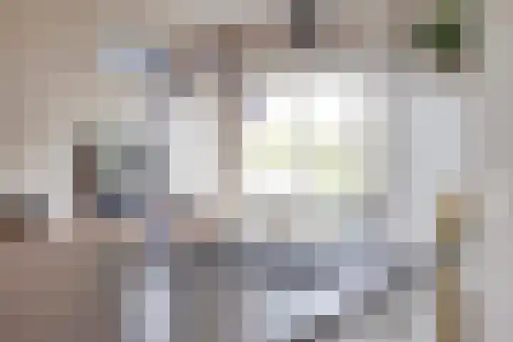 Pastoor Vercoulenstraat 2 Merselo thumbnail 10