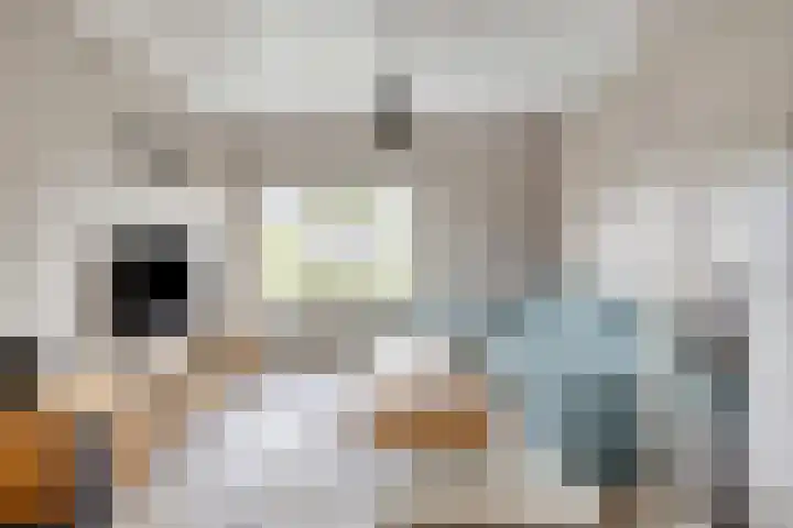 Pastoor Vercoulenstraat 2 Merselo thumbnail 4