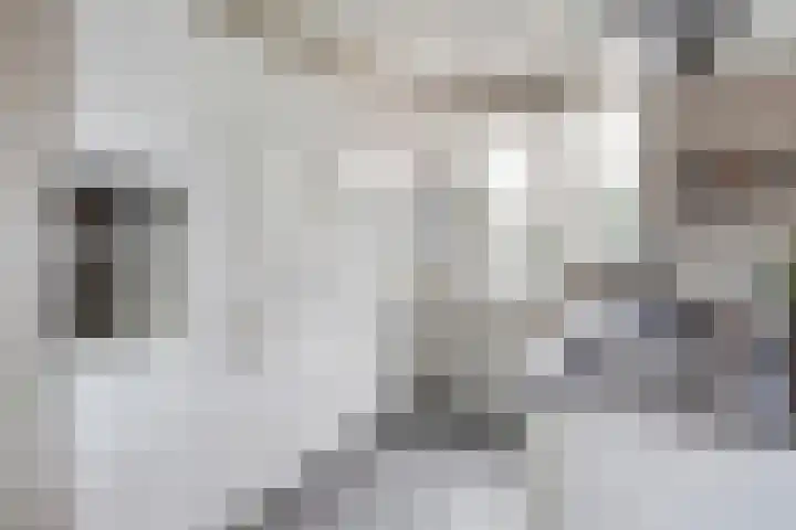 Pastoor Vercoulenstraat 2 Merselo thumbnail 8