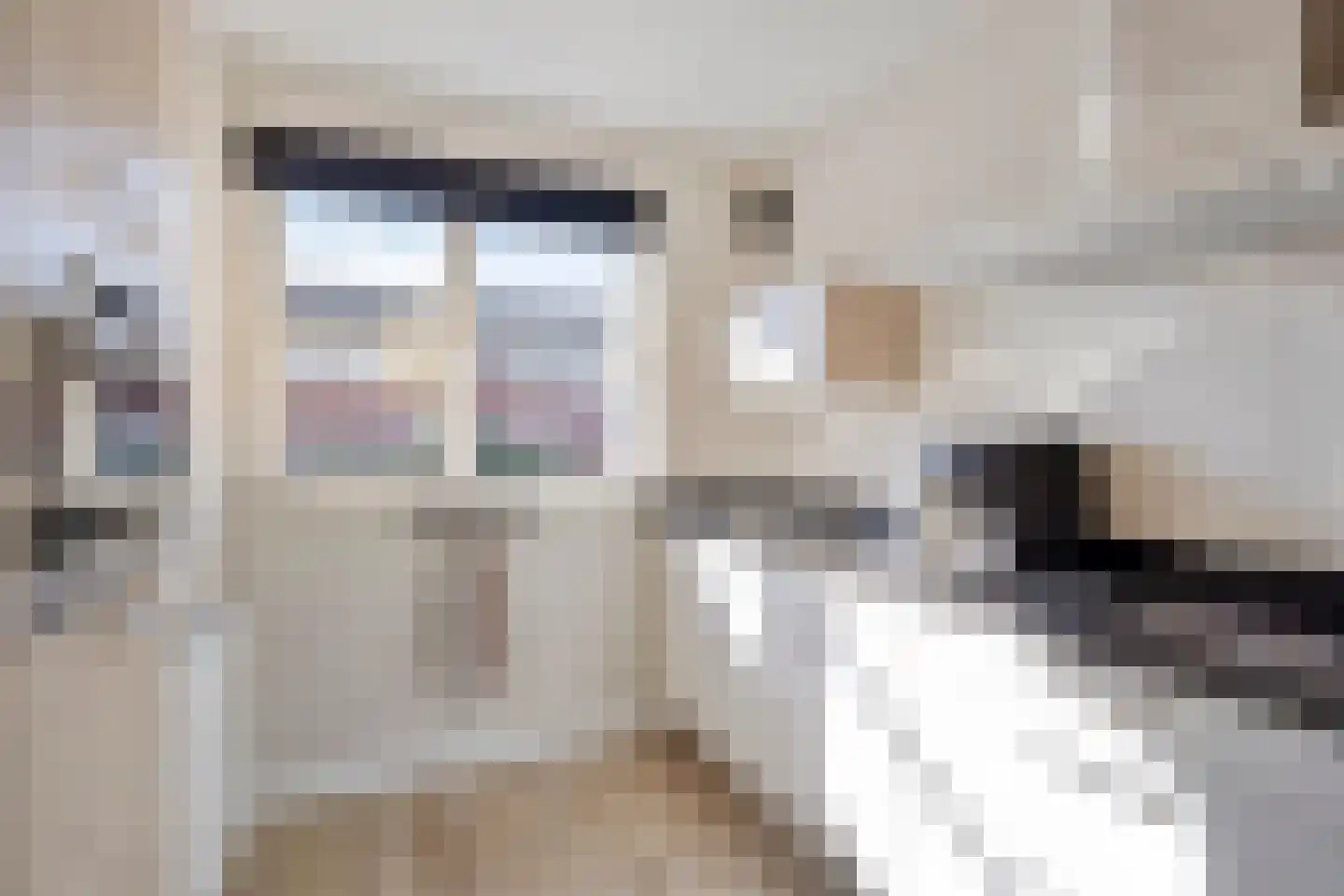 Pastoor Vereeptstraat 18 Valkenswaard thumbnail 4