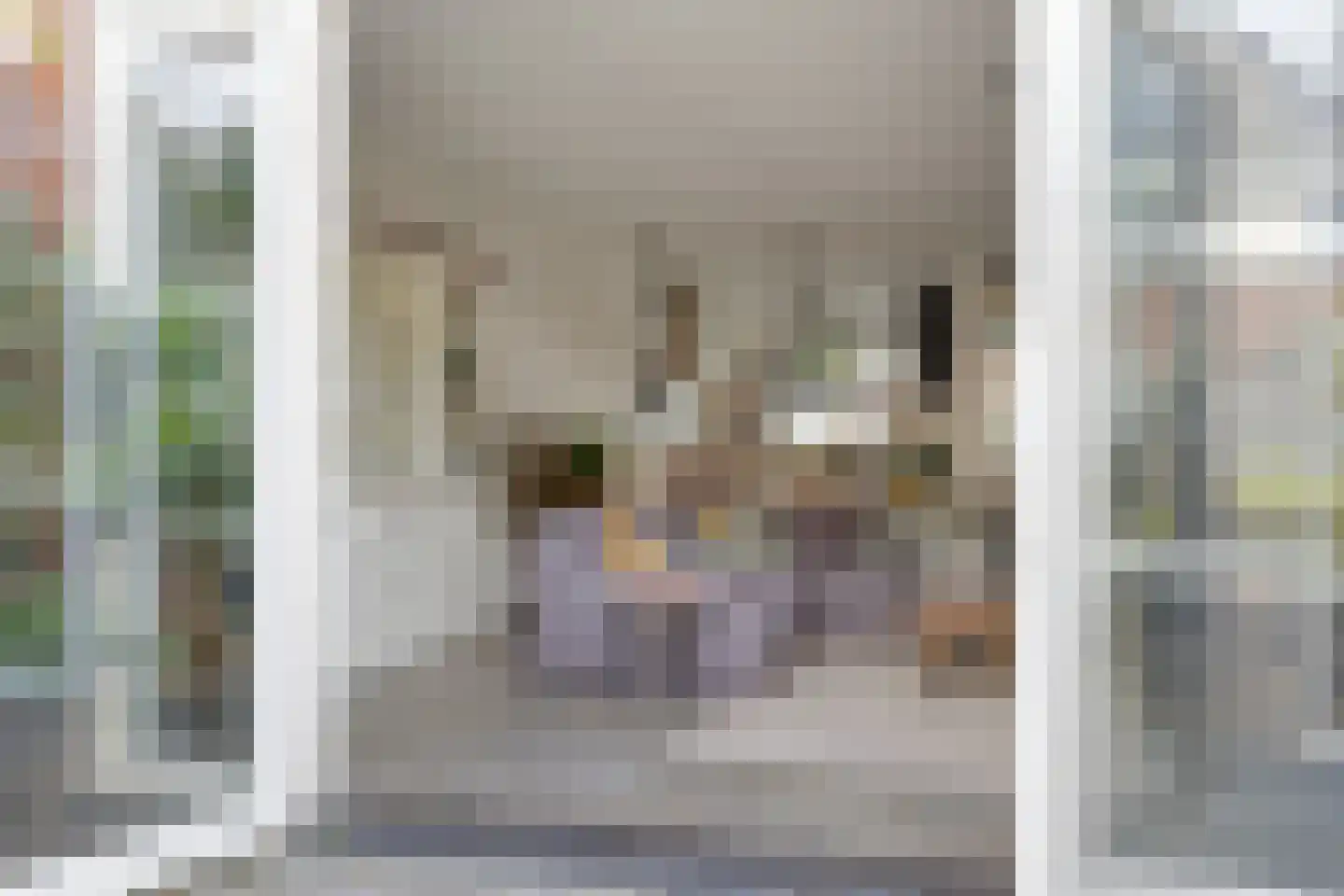 Pastoor Vereeptstraat 24 Valkenswaard thumbnail 13