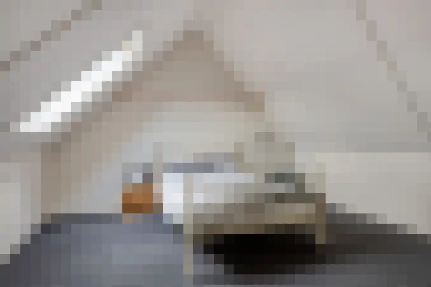 Pastoor Vereeptstraat 24 Valkenswaard thumbnail 26