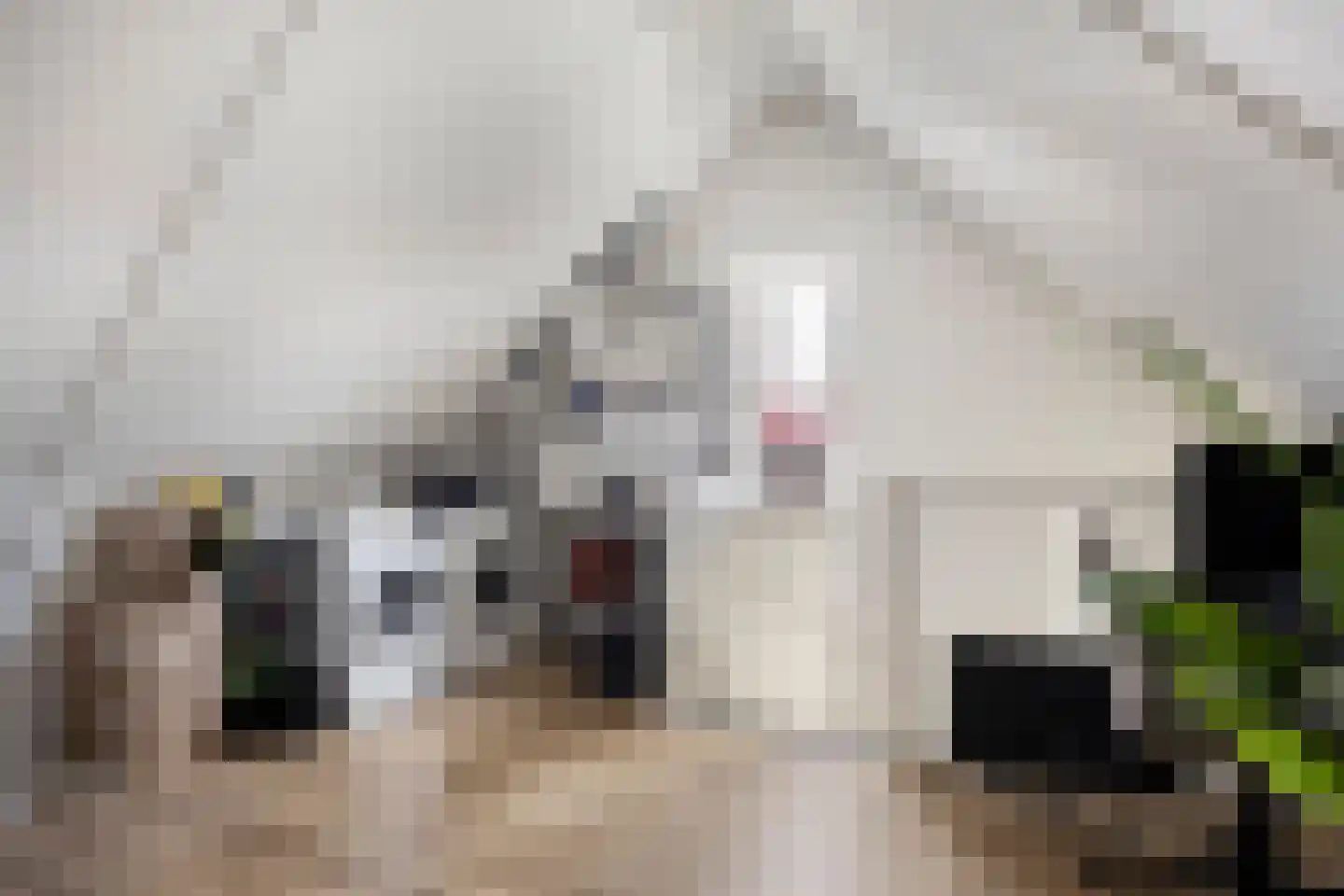 Pastoor Vereeptstraat 4 Valkenswaard thumbnail 21