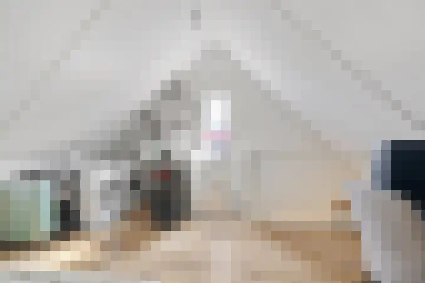 Pastoor Vereeptstraat 4 Valkenswaard thumbnail 22