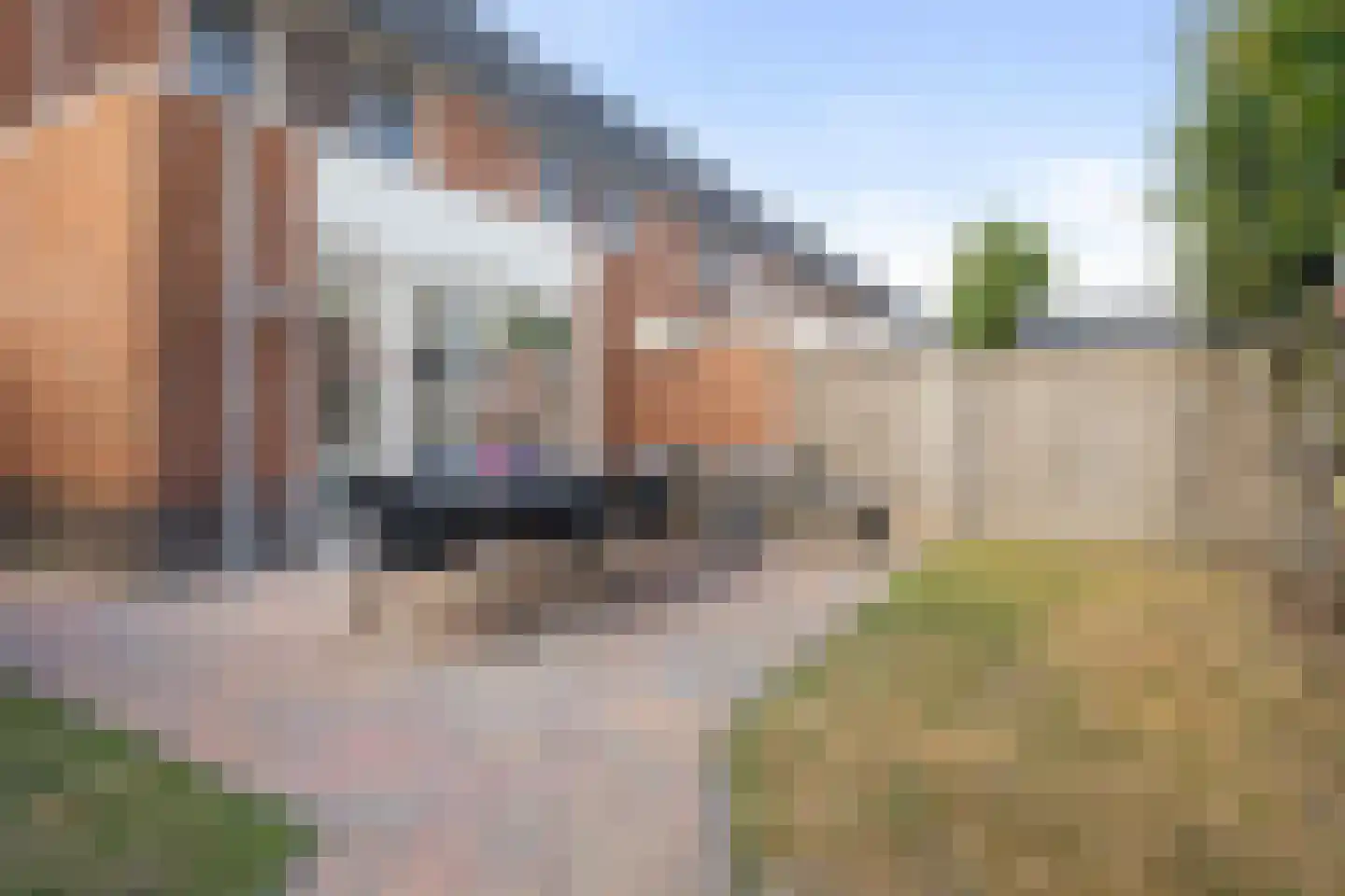 Pastoor Vereeptstraat 4 Valkenswaard thumbnail 23
